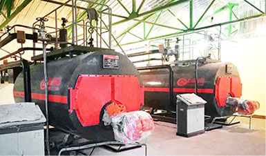 俄羅斯2*1.4MW（2噸）WNS燃?xì)鉄崴仩t